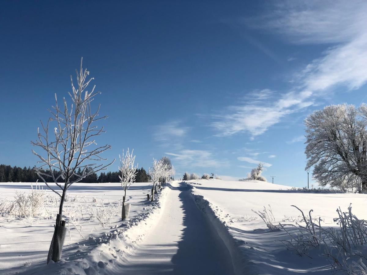 Готель Fontana Lipno Черна-в-Пошумаві Екстер'єр фото